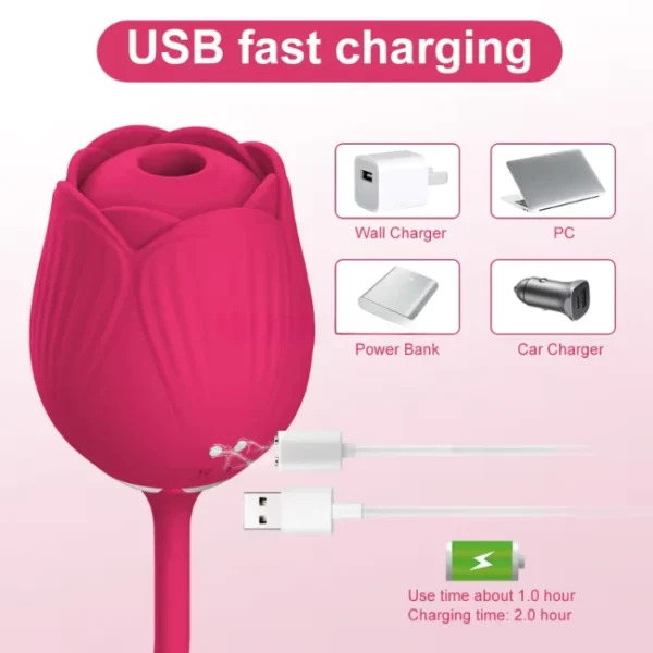 charging system of rose toy with dildo