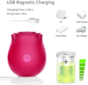 charging system of the rose toy