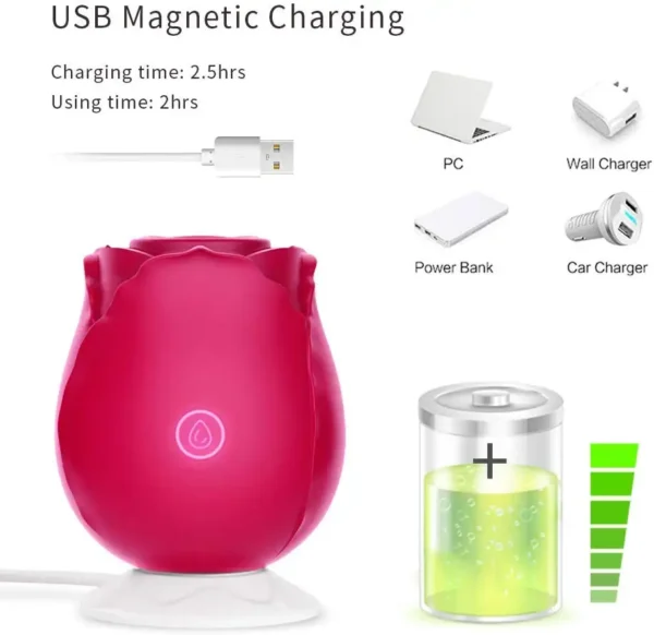 charging system of the rose toy