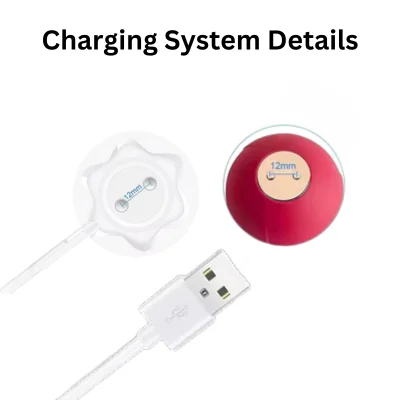 rose sex toy charger details