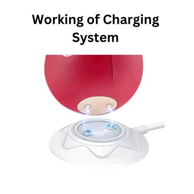 rose toy magnetic charging system working