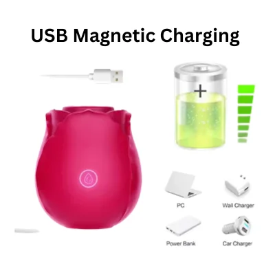 rose toy usb charging